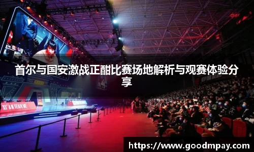 首尔与国安激战正酣比赛场地解析与观赛体验分享